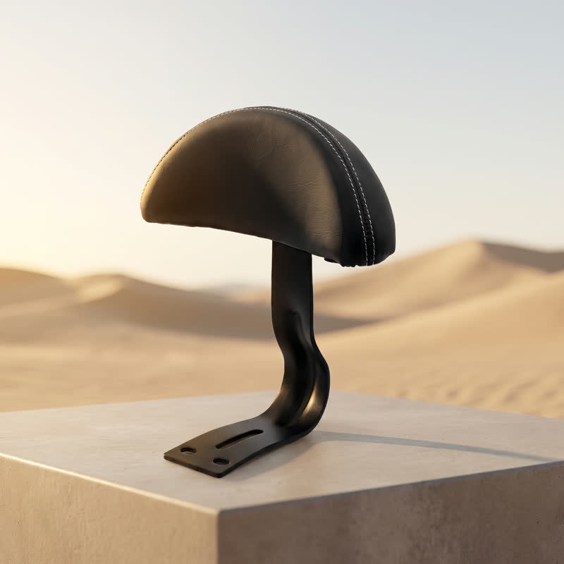 Dosseret passager FATADDICT — coussin noir rembourré sur support acier noir à platine percée